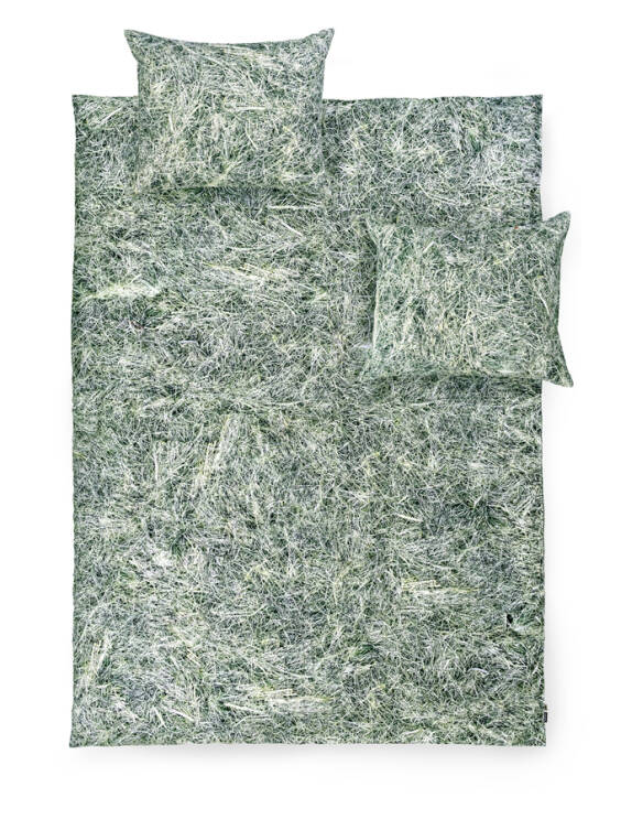 HAY - bedding
