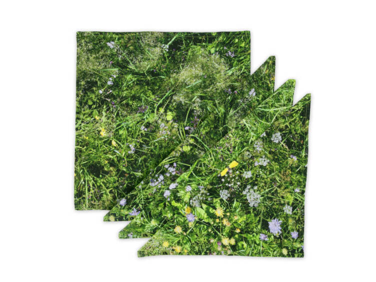 ALPINE MEADOW - decorative mats (serviettes)